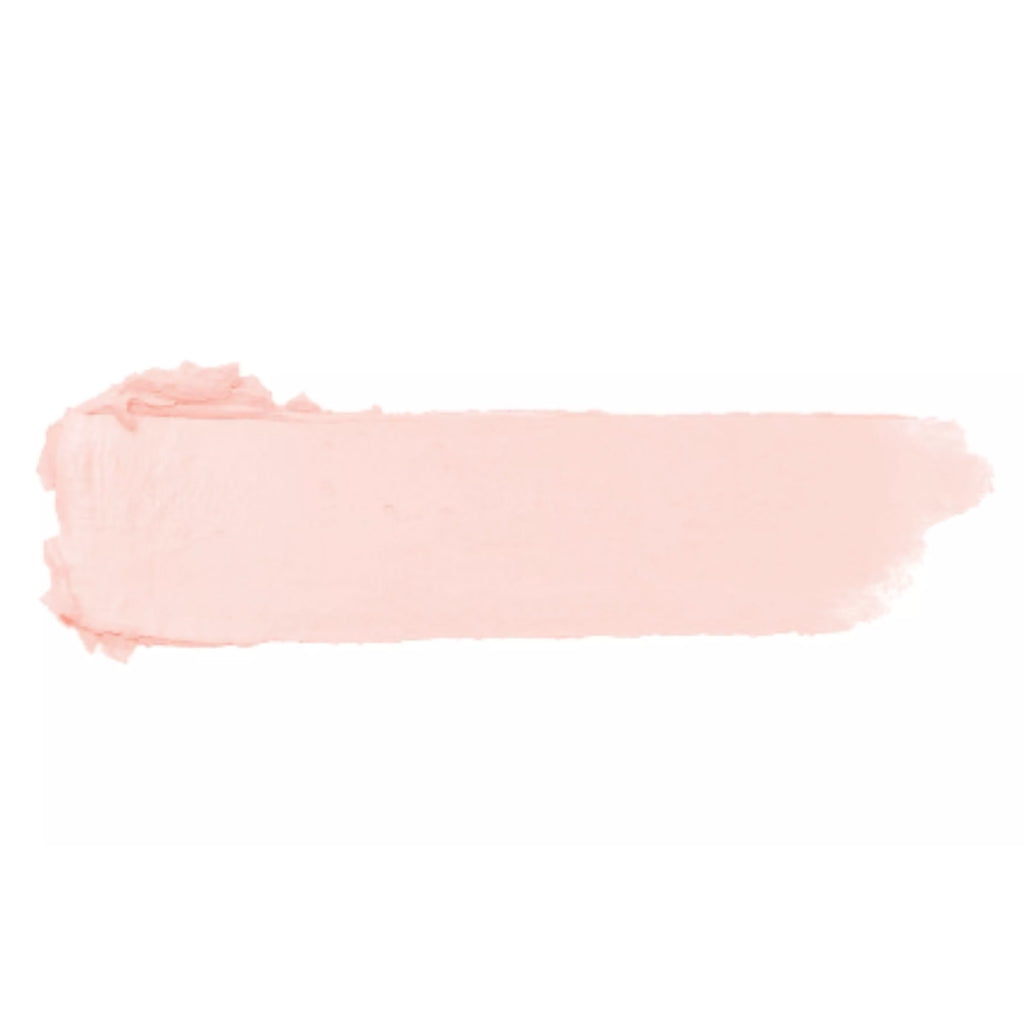 Fran Rose Stick Cover Concealer Kit + Pink Powder Karen Bachini Pink Matte Loose Powder