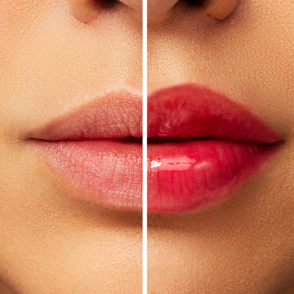 Lip Volume Increase Gloss Fran by Franciny Ehlke Lipchilli