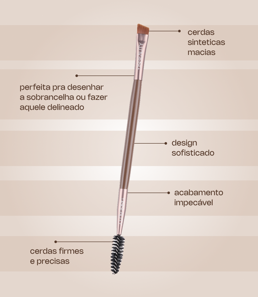 Kit 5 Brushes + DS Beauty Sponge
