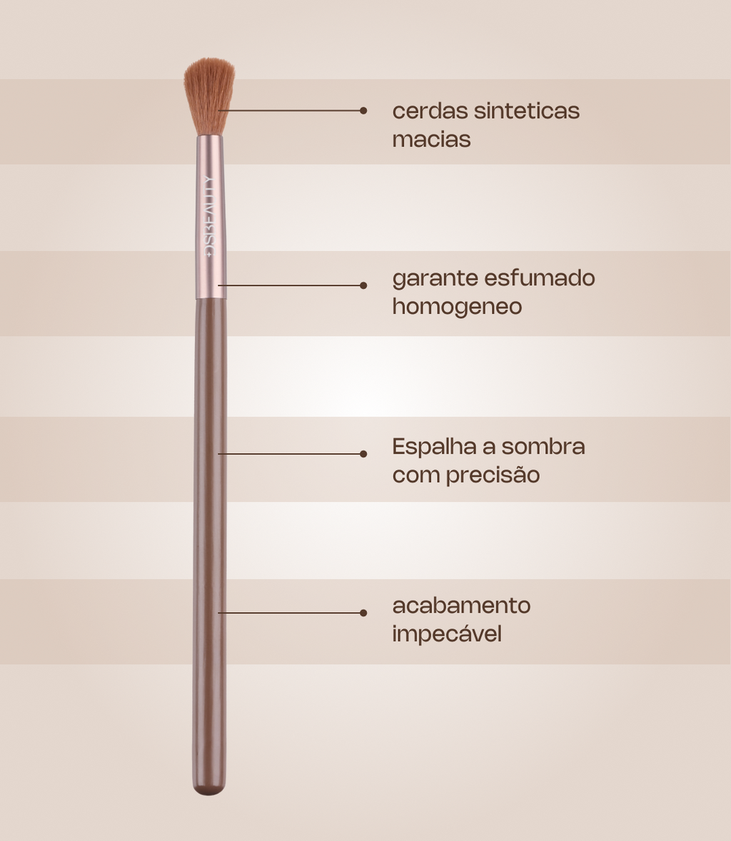 Kit 5 Brushes + DS Beauty Sponge