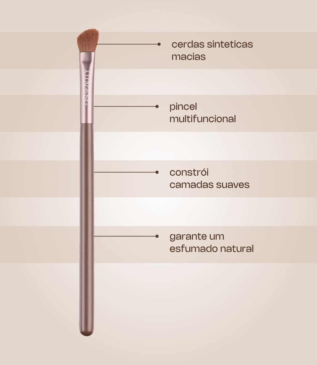 Kit 5 Brushes + DS Beauty Sponge
