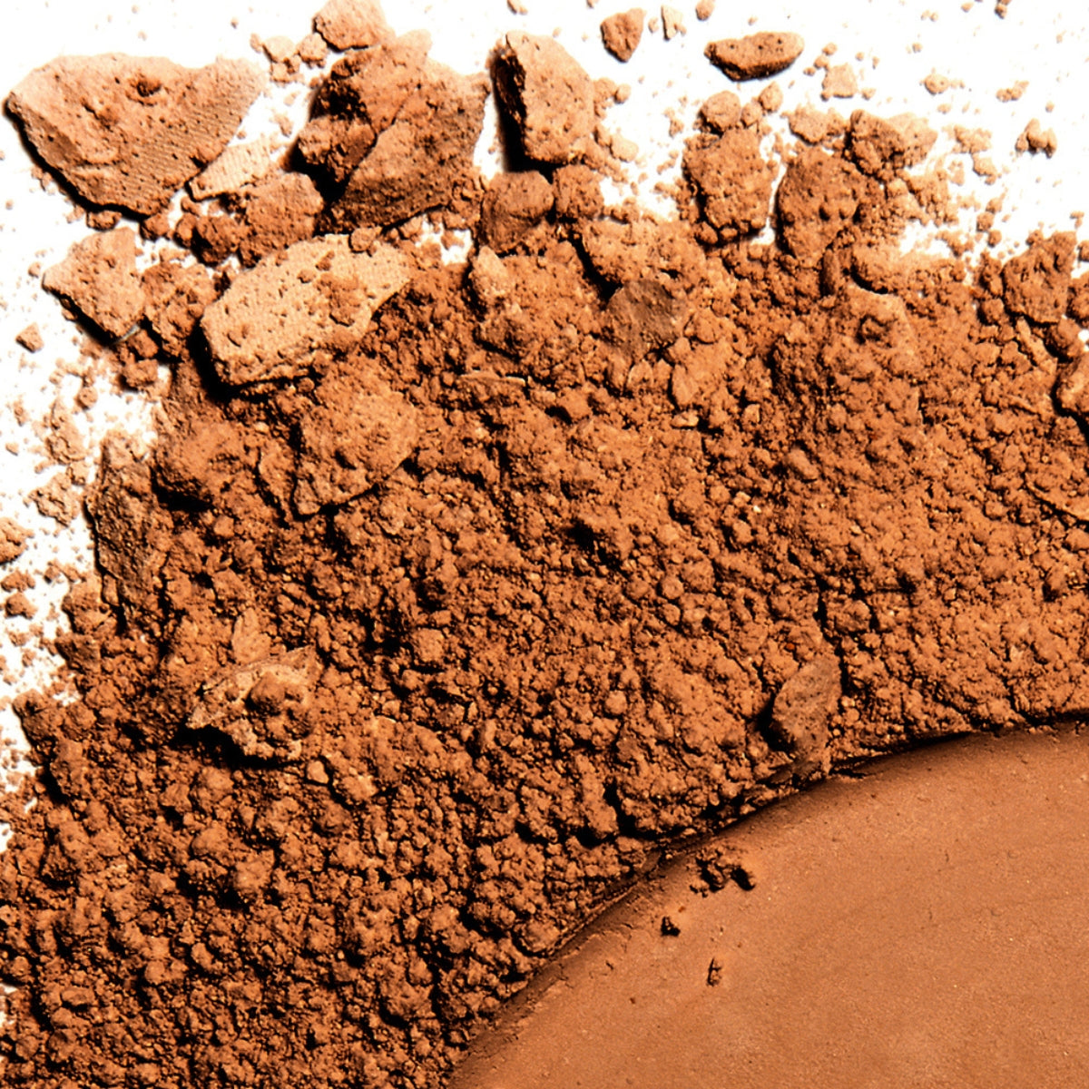 Fran by Franciny Ehlke Plush Loose Powder – 3